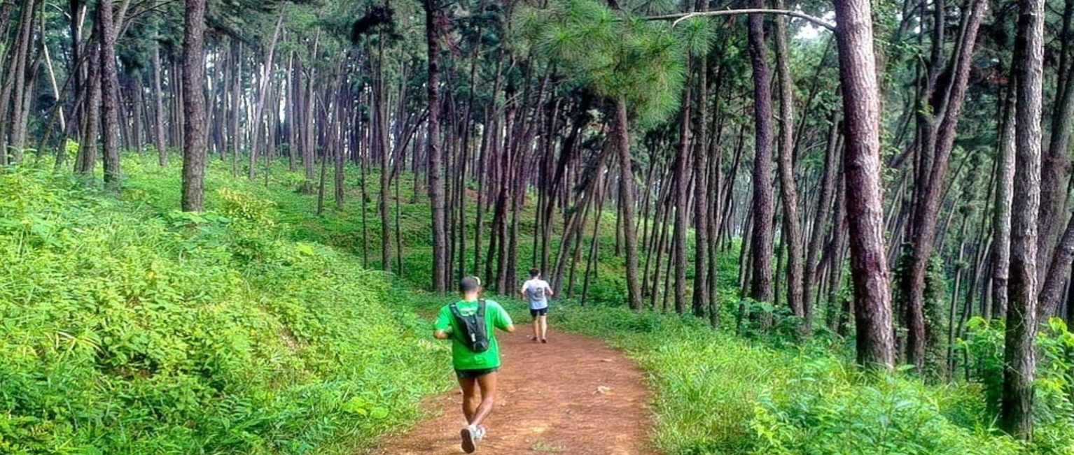 Forest Research Institute of Malaysia (FRIM)