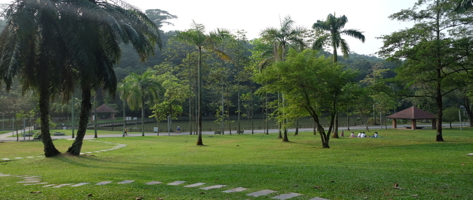 Taman Rimba Kiara