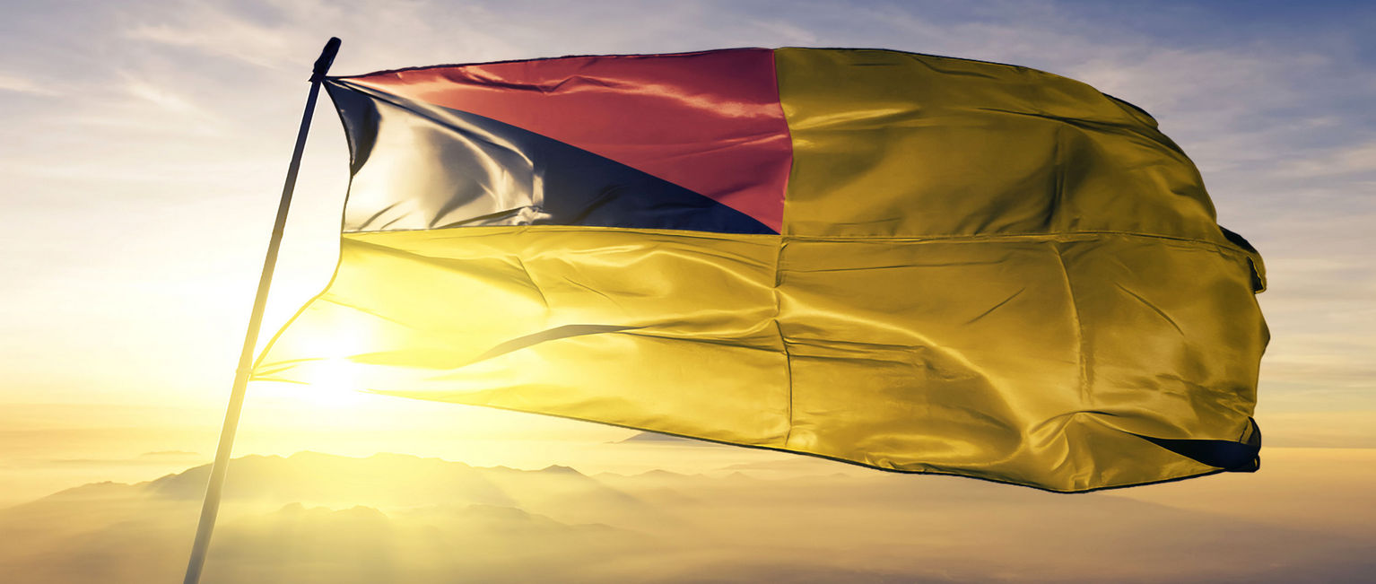 Negeri Sembilan Flag