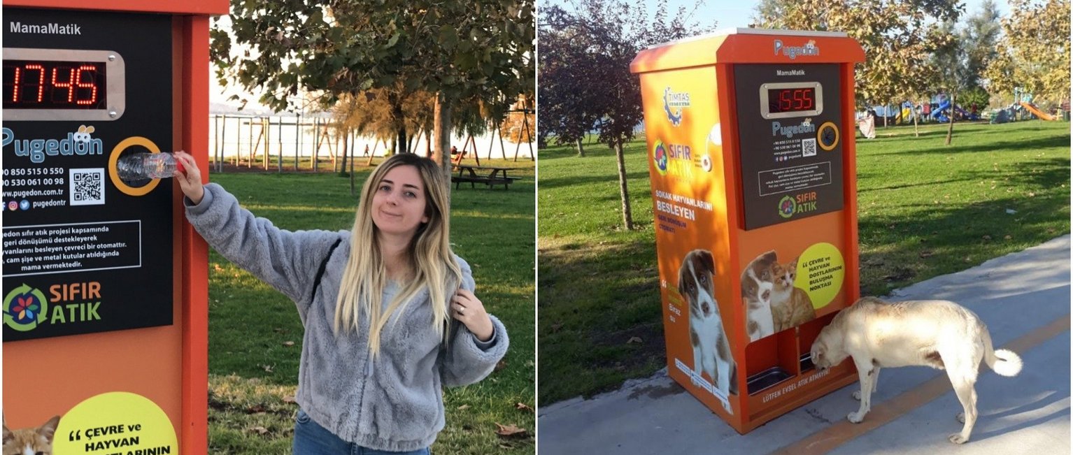 Food vending machine for stray animals in Istanbul