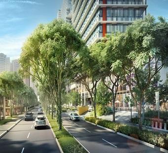 Newly improved connected roads to TRX