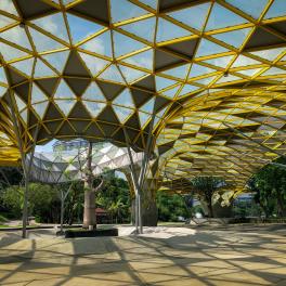 Sun glistening over Taman Botani Perdana 